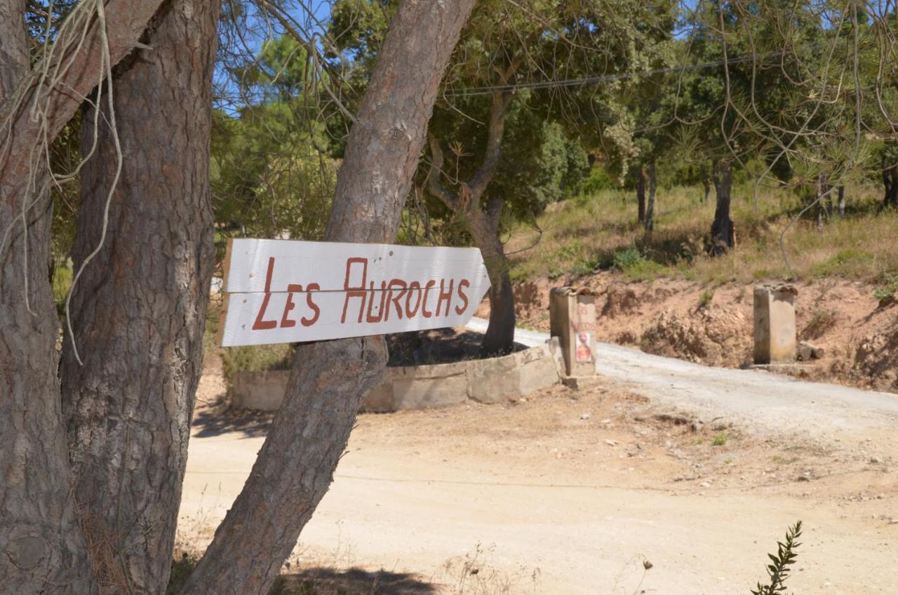 Les Aurochs Bed & Breakfast Grimaud Luaran gambar