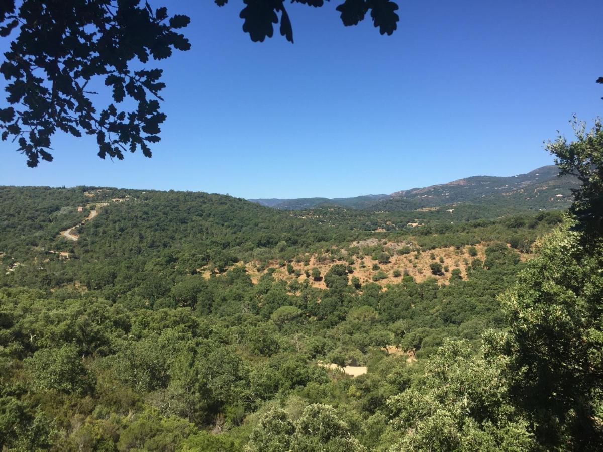 Les Aurochs Bed & Breakfast Grimaud Luaran gambar
